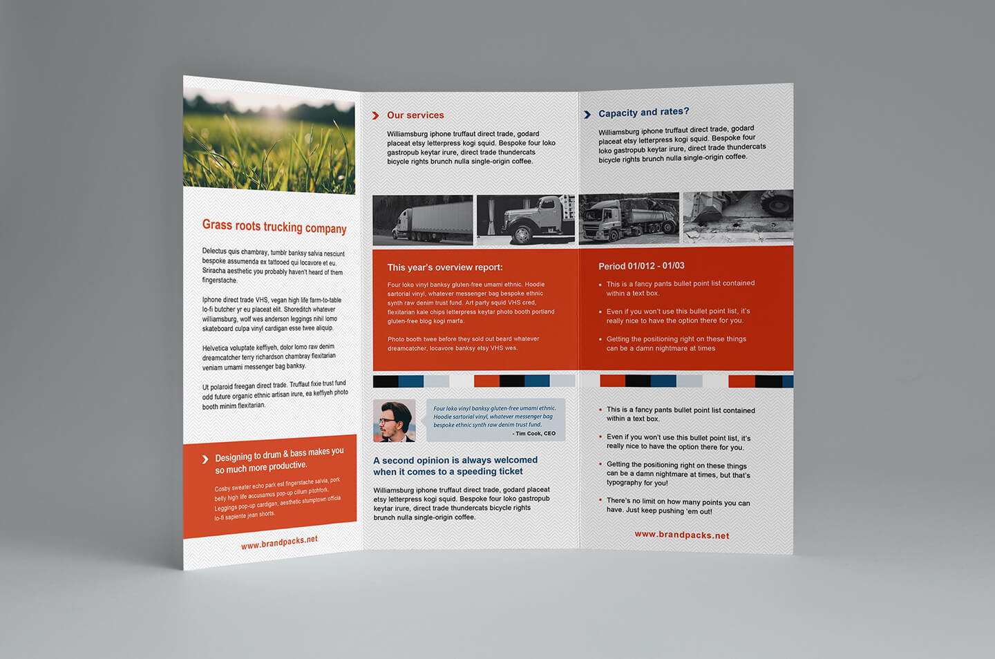 001 Free Trifold Brochure Template For Illustrator Ideas Tri Pertaining To Free Illustrator Brochure Templates Download