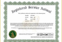 003 Free Printable Service Dog Id Cardmplate Luxury with regard to Service Dog Certificate Template