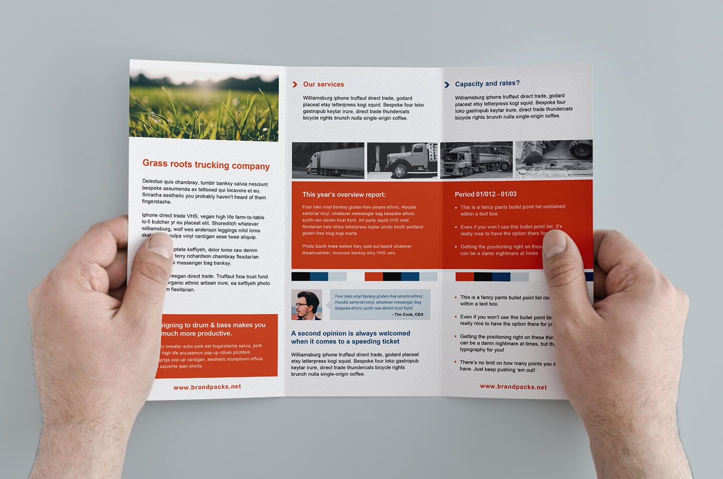 003 Template Ideas Free Corporate Trifold Brochure Tri Fold Within Membership Brochure Template