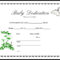 013 Appealing Official Birth Certificate Template Sample For Fake Birth Certificate Template