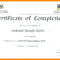022 Template Ideas Training Certificate Word Stock Cash Regarding Template For Training Certificate