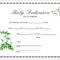 025 Template Ideas Baby Dedication Certificate Wonderful With Regard To Birth Certificate Fake Template