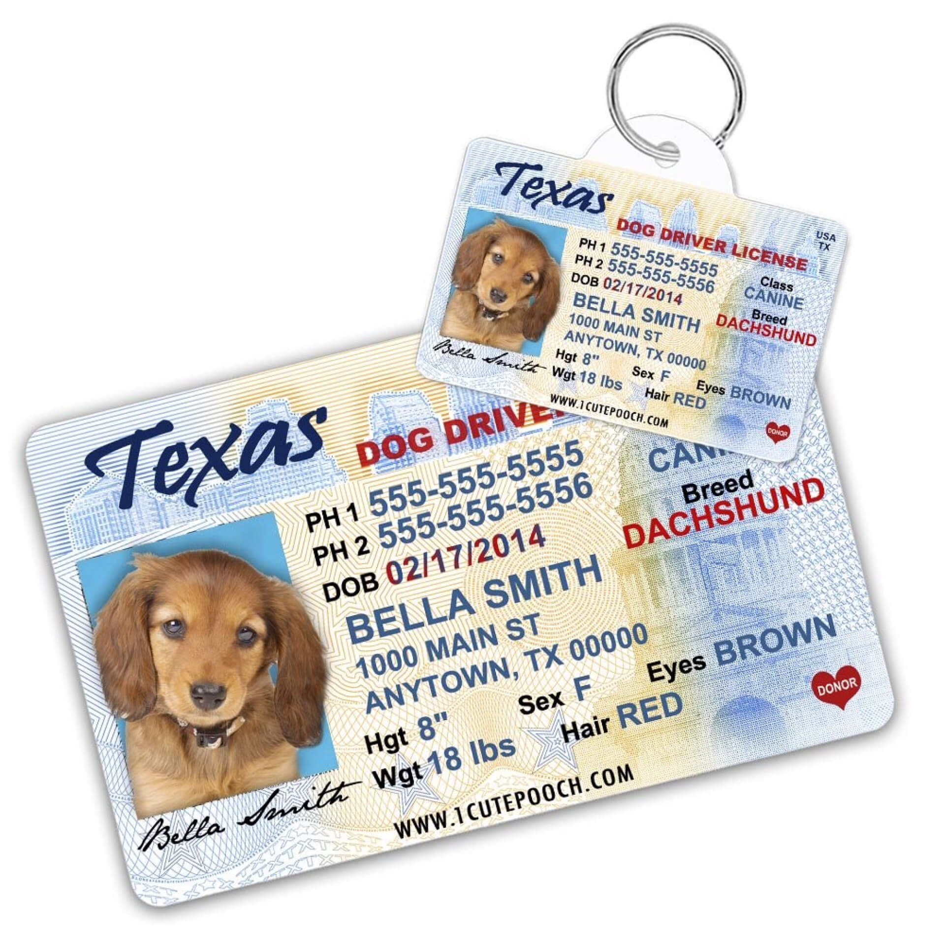 043 Printable Service Dog Id Card Template Staggering Ideas Within Texas Id Card Template