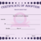 15+ Adoption Certificate Templates | Free Printable Word In Certificate Of Attainment Template
