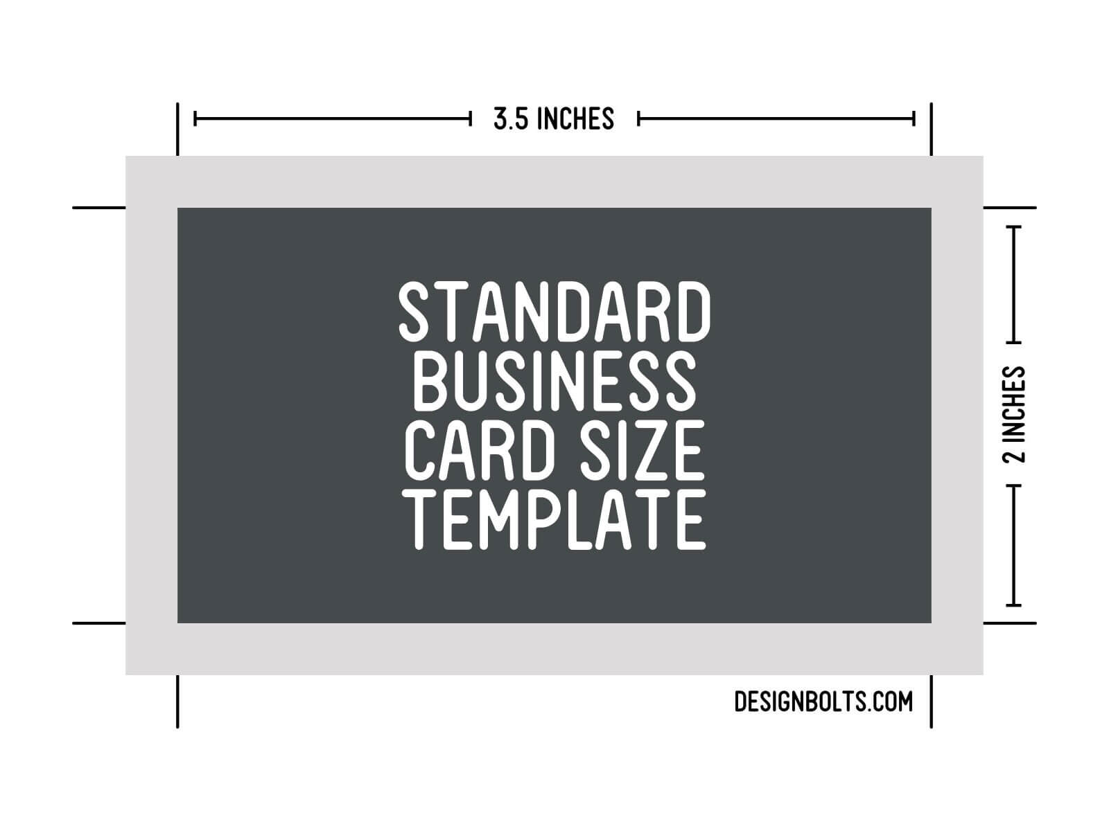15 Psd Business Card Template Size Images - Standard In Business Card Size Photoshop Template
