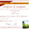 19 Fresh Premarital Counseling Certificate Regarding Premarital Counseling Certificate Of Completion Template