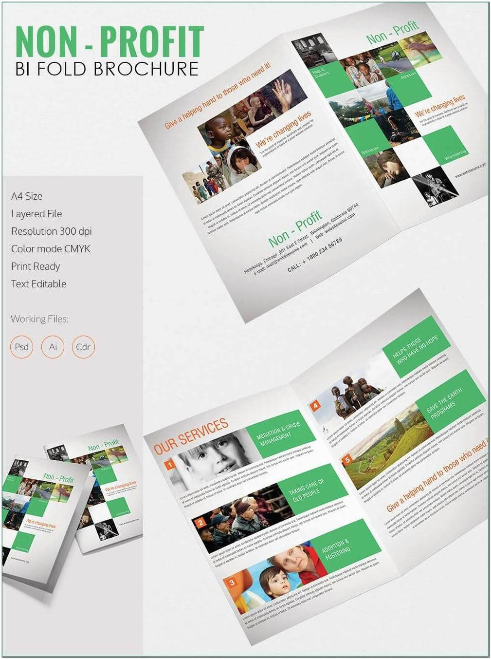 2 Fold Brochure Template Free Download Publisher – Template Intended For Ai Brochure Templates Free Download