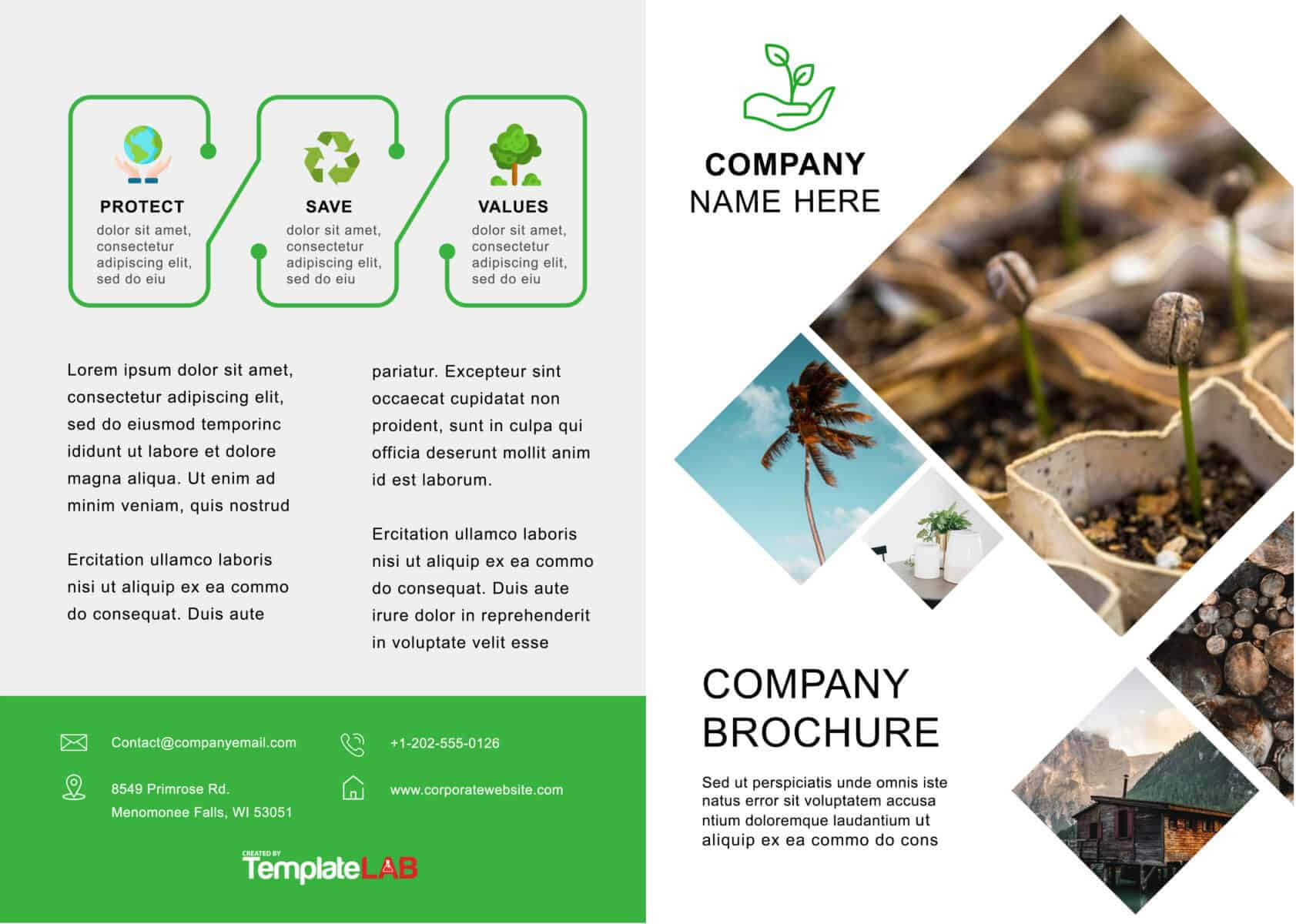 33 Free Brochure Templates (Word + Pdf) ᐅ Template Lab With Regard To Word 2013 Brochure Template
