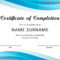 40 Fantastic Certificate Of Completion Templates [Word Within School Leaving Certificate Template