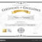 Award Of Excellence Certificate Template – Bolan In Academic Award Certificate Template