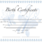 Baby Doll Birth Certificate Template | Birth Certificate with Baby Doll Birth Certificate Template