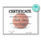 Basketball Certificate | Certificate Templates, Certificate Intended For Basketball Certificate Template