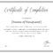 Certificate Of Completion Template In Pdf And Doc Formats For Class Completion Certificate Template
