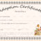 Child Adoption Certificate Template Inside Blank Adoption Certificate Template