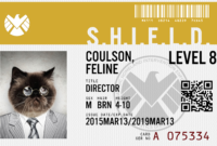 Every Fan Needs A Personalized Agents Of Shield Id Card with Shield Id Card Template