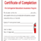 Fire Extinguisher Certificate – Fill Online, Printable Pertaining To Fire Extinguisher Certificate Template