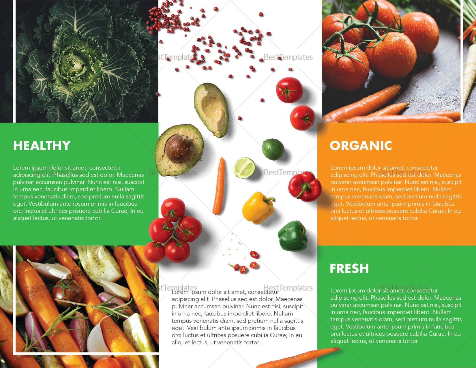 Food Brochure Template Throughout Nutrition Brochure Template