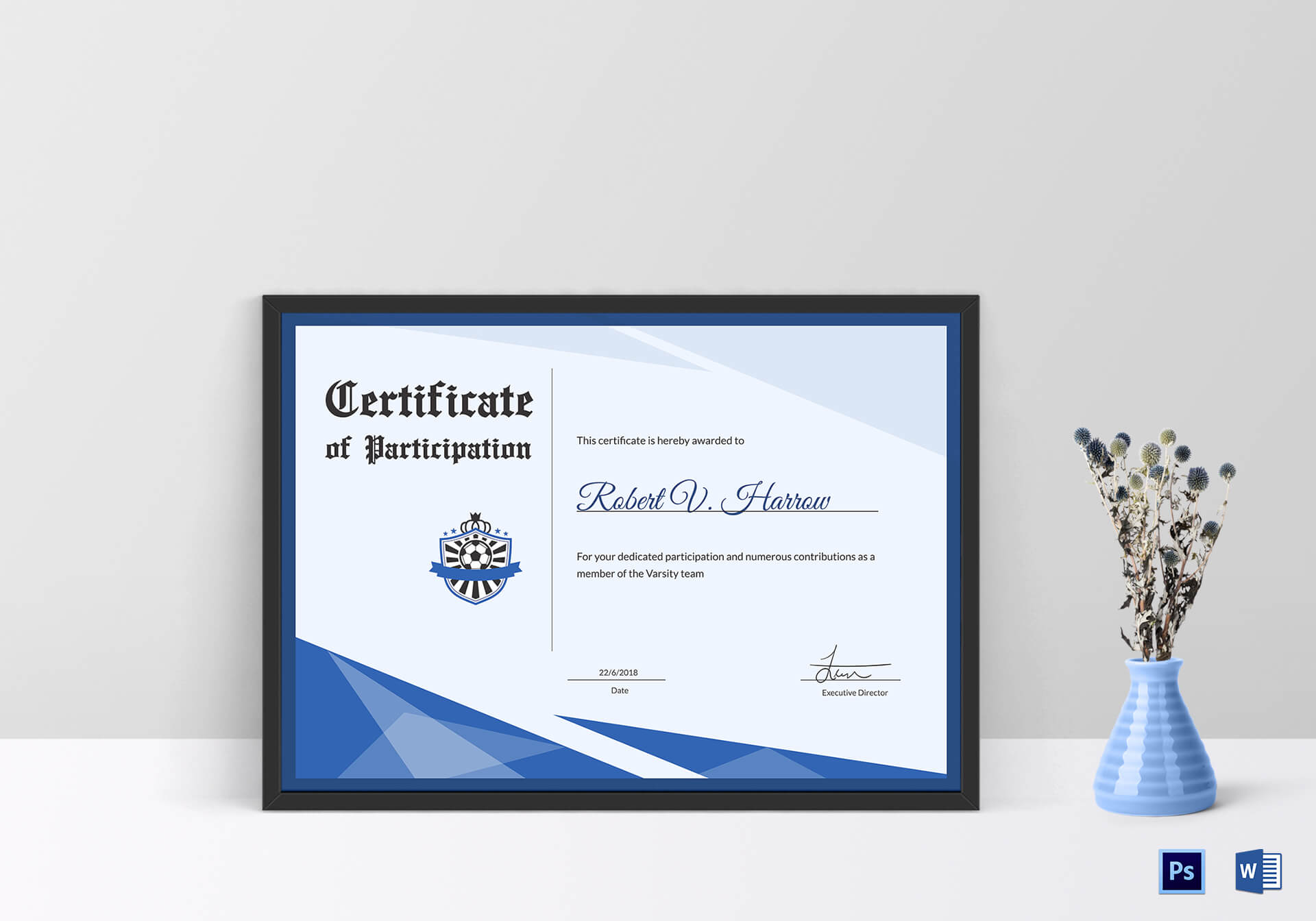 Football Award Certificate Template Regarding Award Certificate Design Template