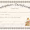 Free Printable Blank Baby Birth Certificates Templates With Baby Doll Birth Certificate Template