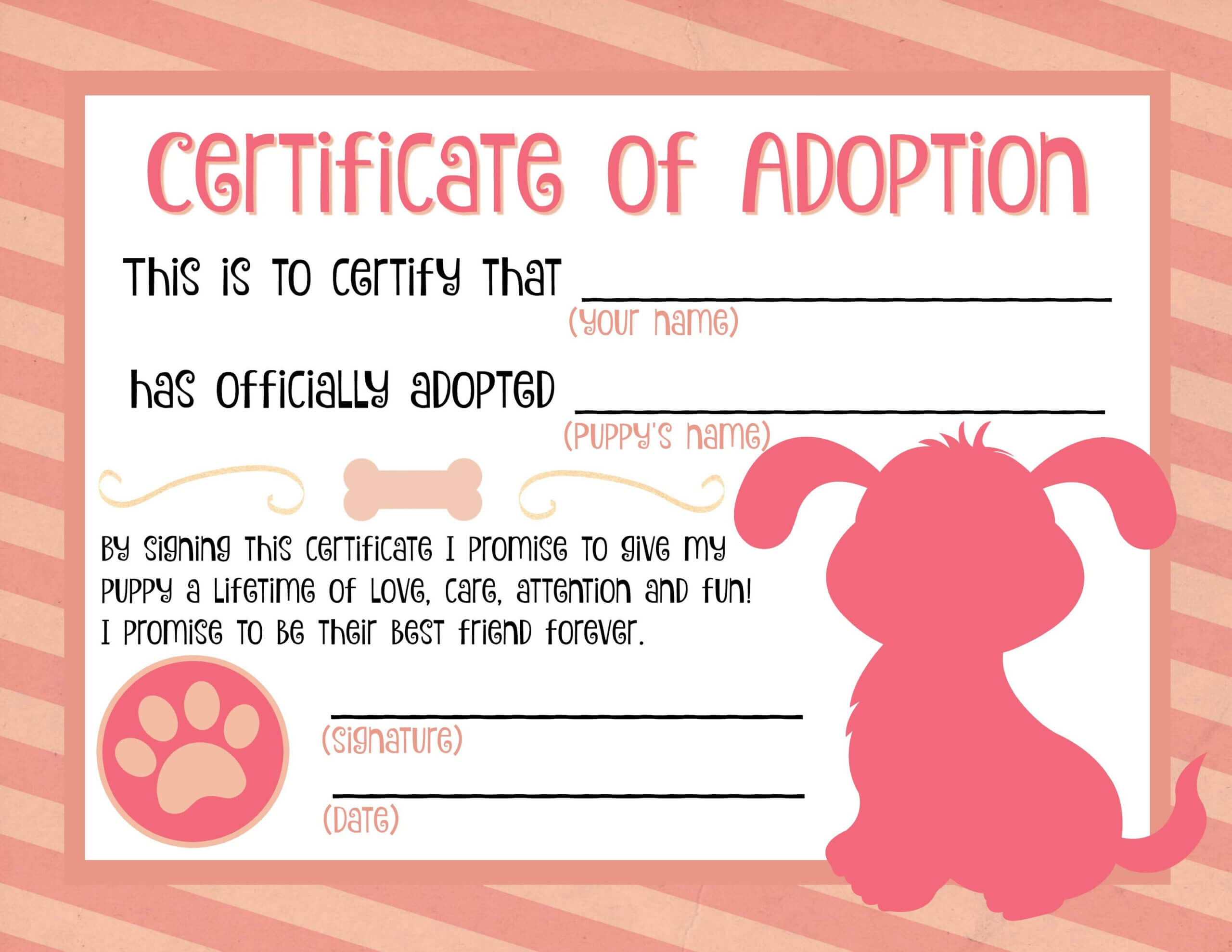 Free Printable Stuffed Animal Adoption Certificate Free For Blank Adoption Certificate Template