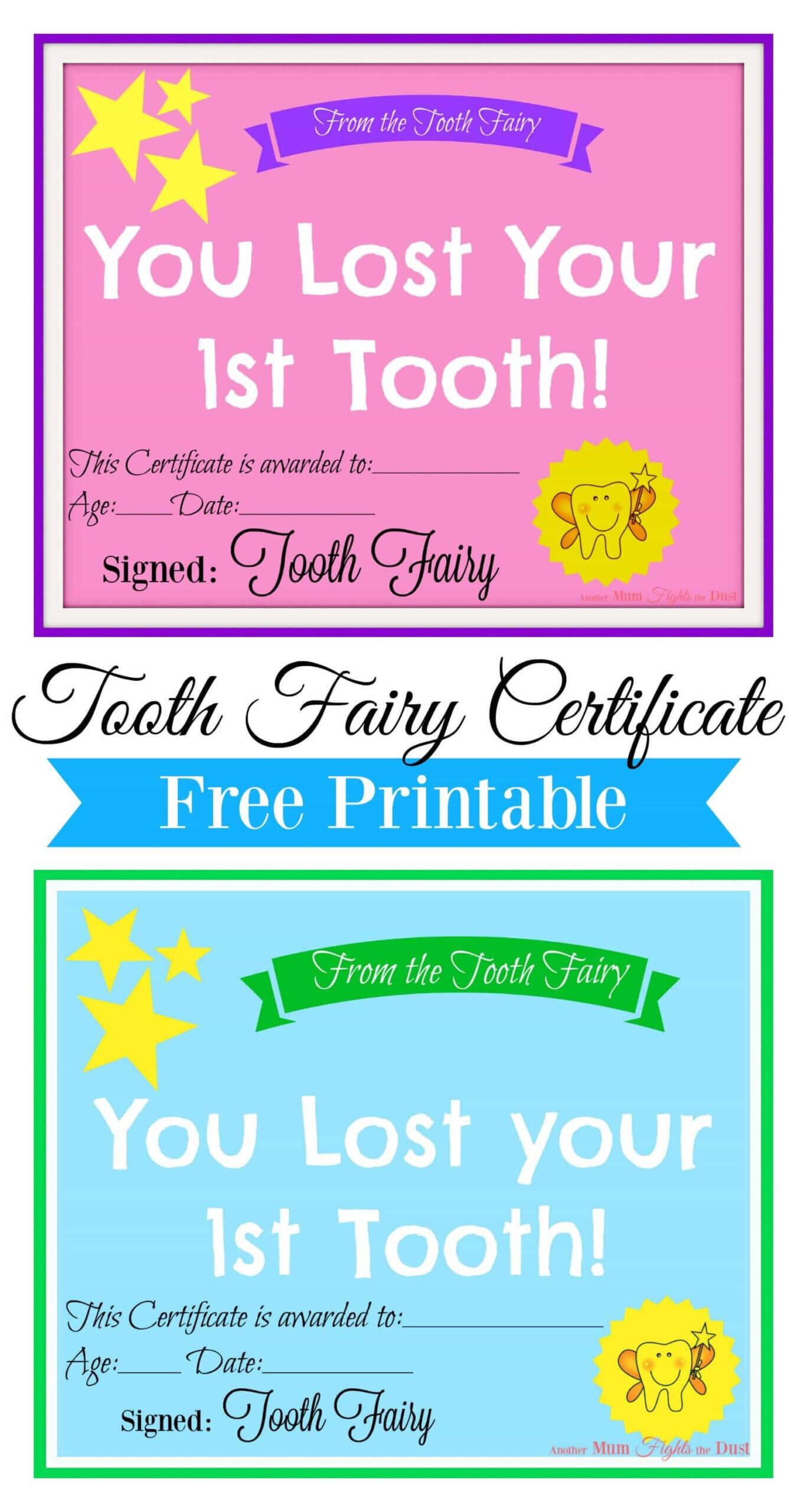 Free Printable Tooth Fairy Certificate | Tooth Fairy Regarding Tooth Fairy Certificate Template Free