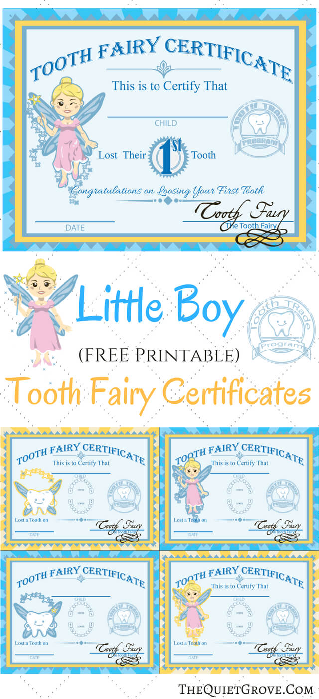 Free Printable Tooth Fairy Certificates | Tooth Fairy Throughout Tooth Fairy Certificate Template Free