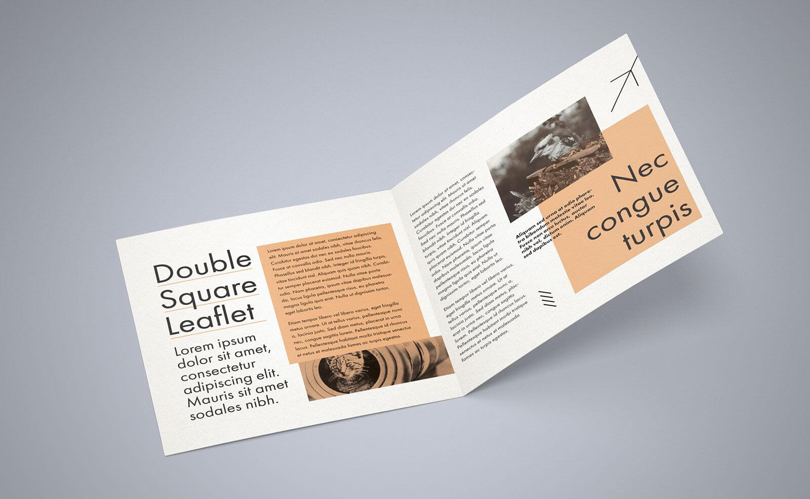 Free Square Bi Fold Brochure Mockup Psd File 2 | Brochure Inside 2 Fold Brochure Template Free