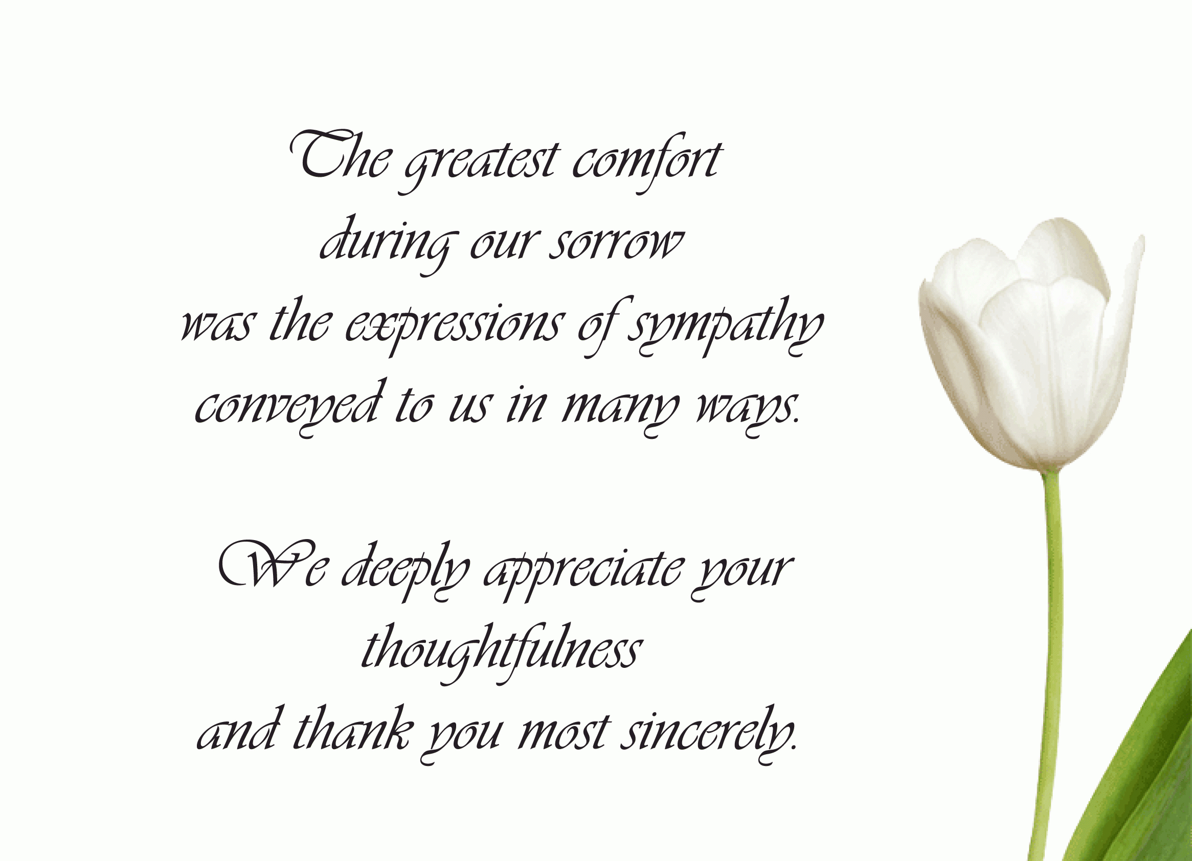 Funeral Thank You Card Ideas – Google Search | Funeral Thank With Sympathy Thank You Card Template