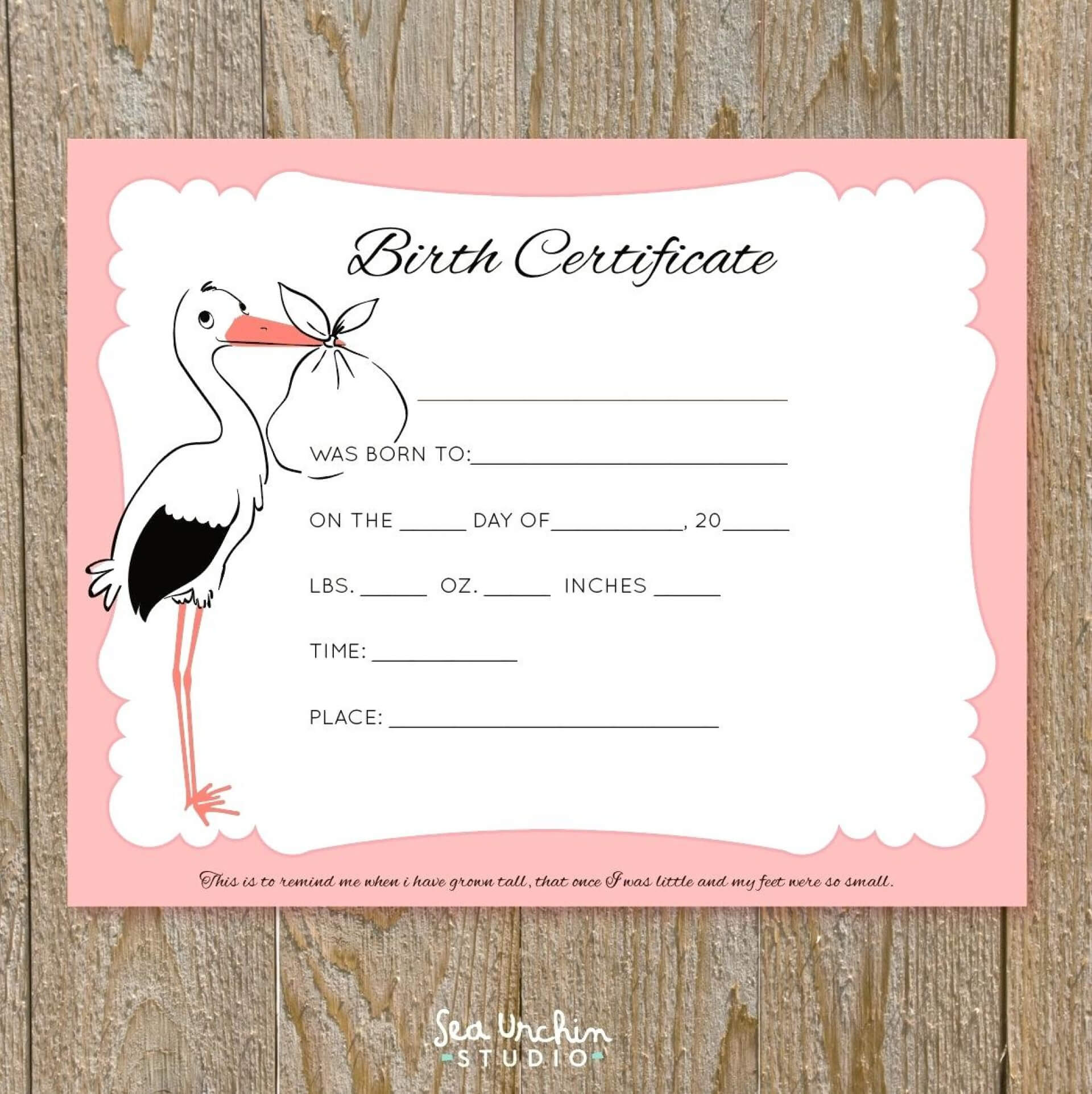 Impressive Free Birth Certificate Template Ideas Puppy Intended For Baby Doll Birth Certificate Template