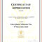 Minister License Certificate Template – Carlynstudio With Regard To Certificate Of License Template