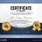 Multipurpose Professional Certificate Template In Professional Award Certificate Template