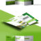 Nature Tri Fold Brochure Template Free Psd | Psdfreebies Intended For 3 Fold Brochure Template Free