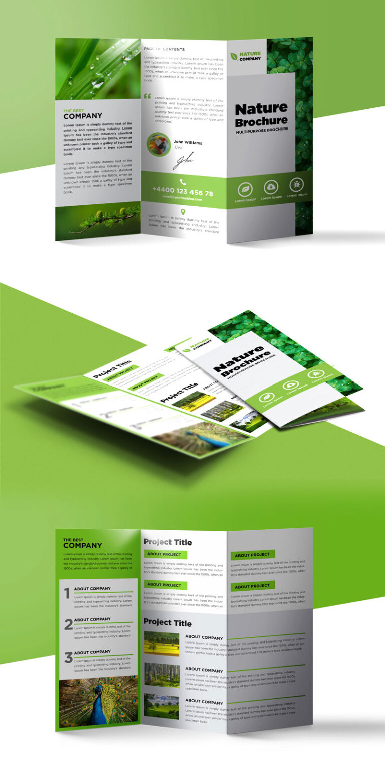 3 Fold Brochure Template Psd