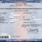 Need A Copy Of Your Ohio Birth Certificate? #wecanhelp Order In Novelty Birth Certificate Template