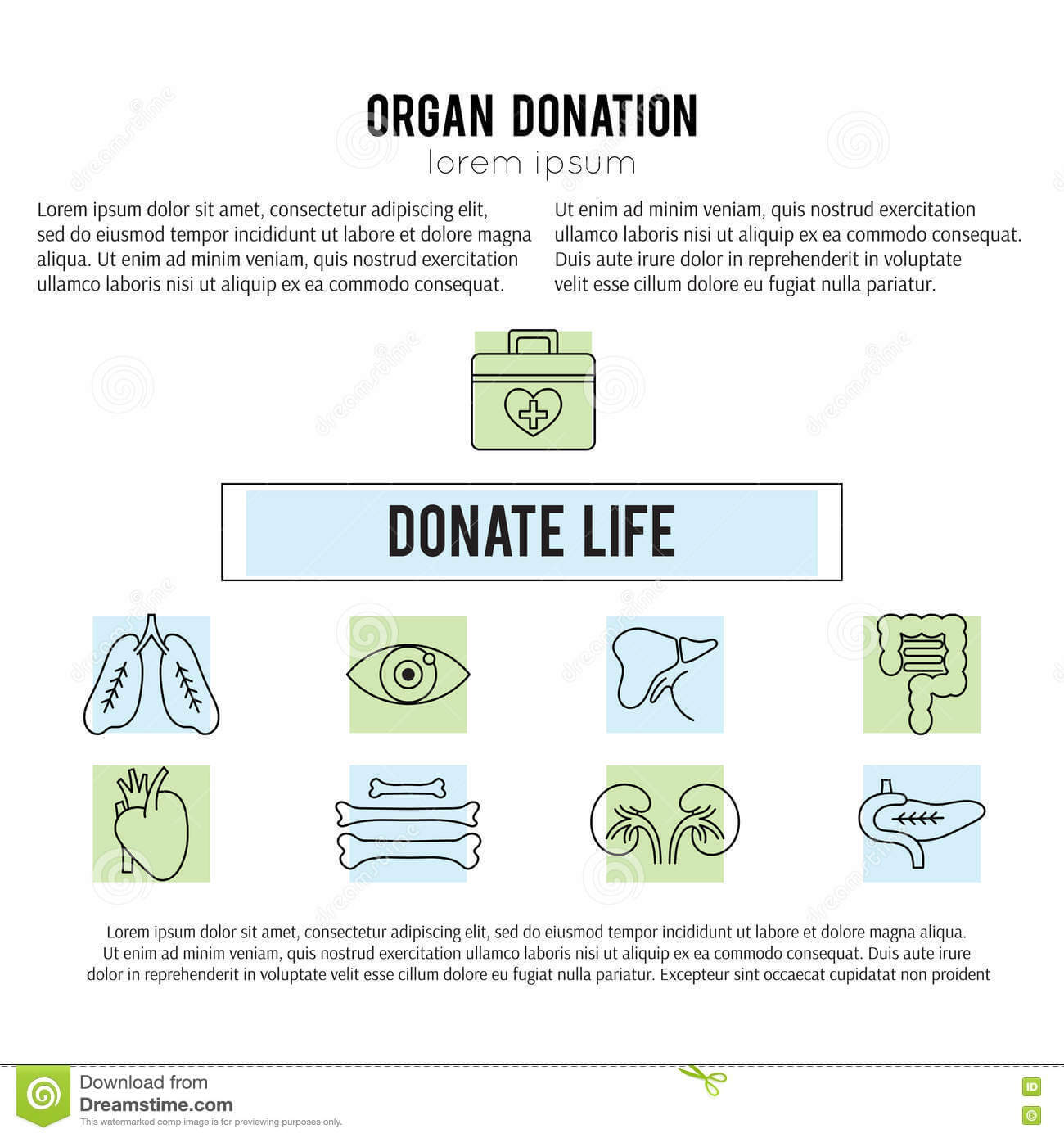 Organ Donation Template Stock Vector. Illustration Of Case Inside Organ Donor Card Template