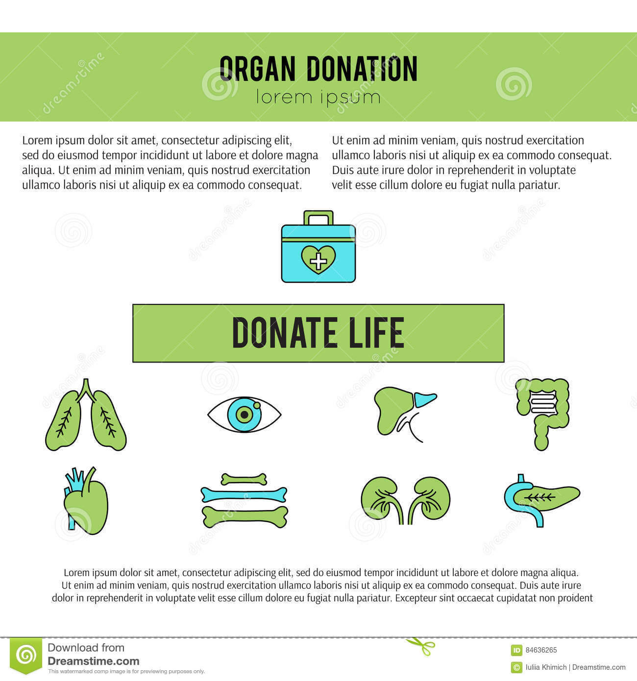 Organ Donation Template Stock Vector. Illustration Of Throughout Organ Donor Card Template