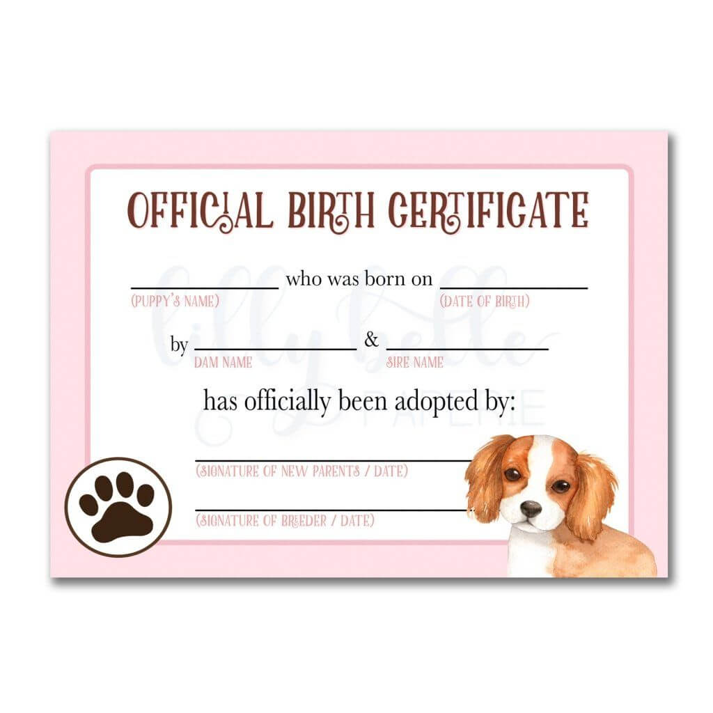 Pink Cavalier King Charles Spaniel Birth Certificate | Dog With Regard To Pet Adoption Certificate Template