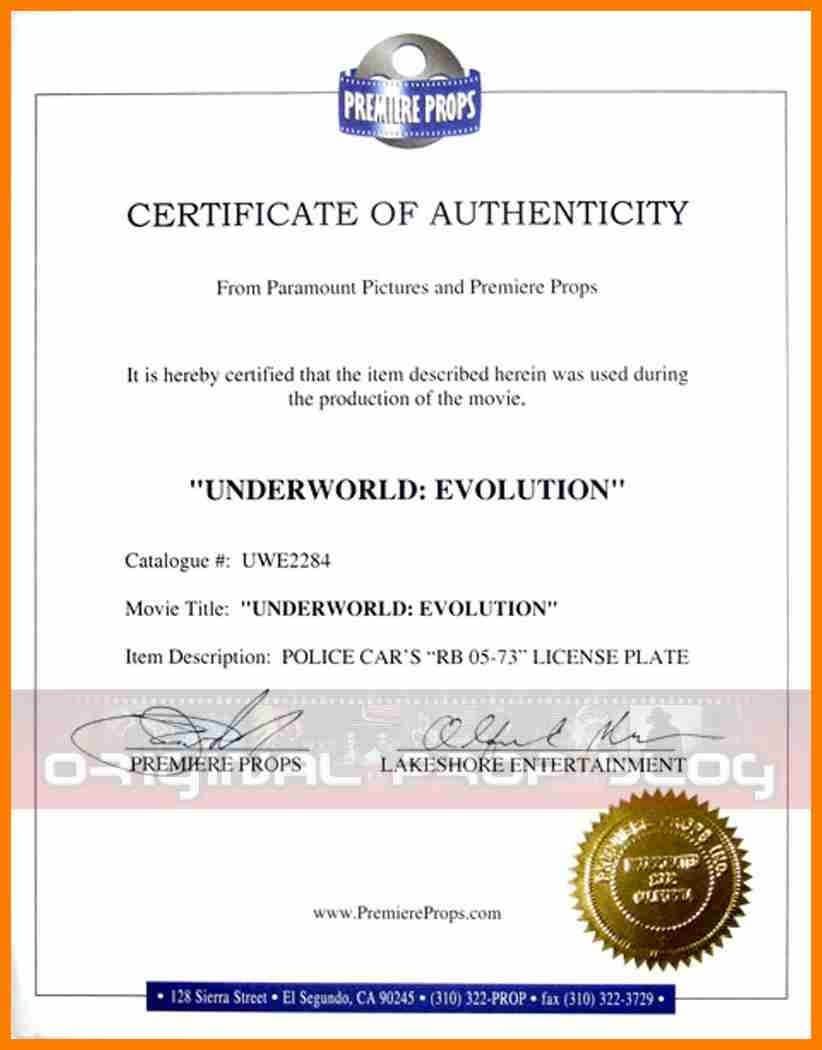 Sales Agent Authorization Certificate Word Template For Certificate Of Authorization Template
