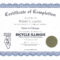 Sample Certificate Of Completion | Certificate Of Completion Inside Certificate Of Completion Free Template Word