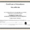 Sample Computer Course Completion Certificate Fres Beautiful Intended For Class Completion Certificate Template