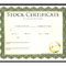 Stock Certificates Gift – Topa.mastersathletics.co Inside Template For Share Certificate