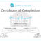 Training Completion Certificate Templates – Bolan With Training Certificate Template Word Format