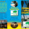 Travel Brochure – Lessons – Tes Teach With Regard To Island Brochure Template