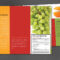 Tri Fold Brochure Template For Health And Nutrition. Order intended for Nutrition Brochure Template
