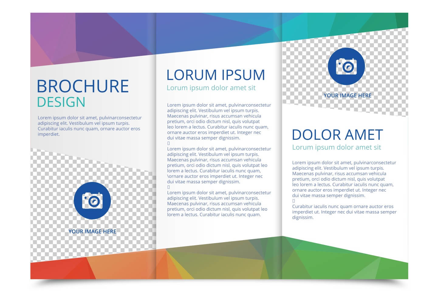 Tri Fold Brochure Vector Template – Download Free Vectors Regarding 3 Fold Brochure Template Free Download