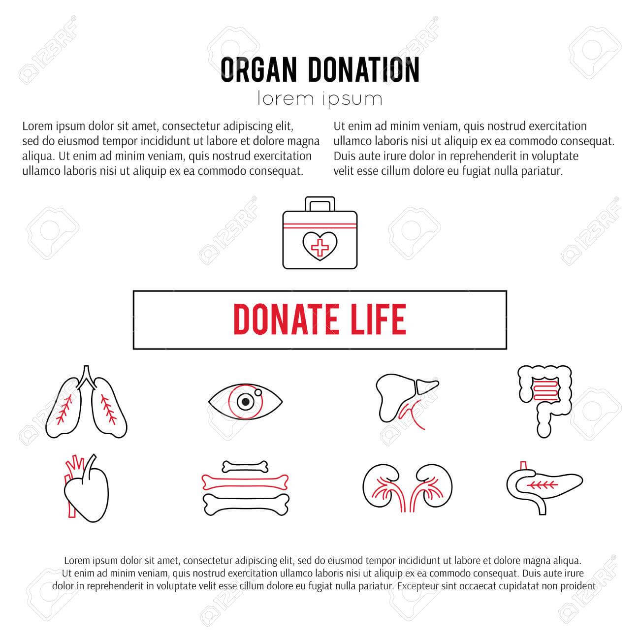 Vector Square Banner Template. Organ Donation Thin Line Icons In Organ Donor Card Template