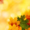 Yellow Autumn Backgrounds For Powerpoint – Nature Ppt Templates Intended For Free Fall Powerpoint Templates
