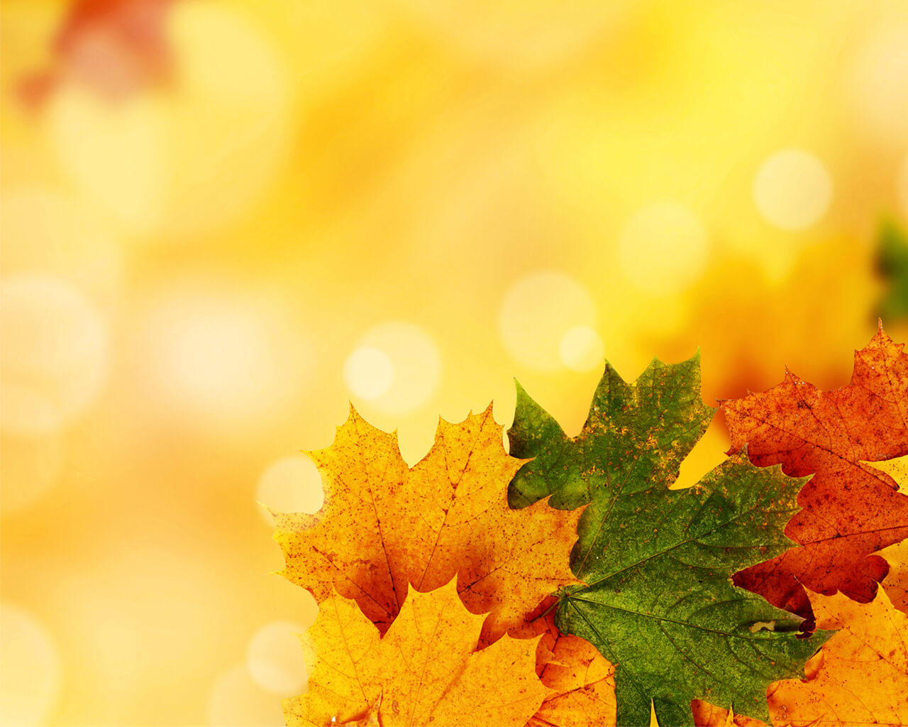 Yellow Autumn Backgrounds For Powerpoint - Nature Ppt Templates Intended For Free Fall Powerpoint Templates