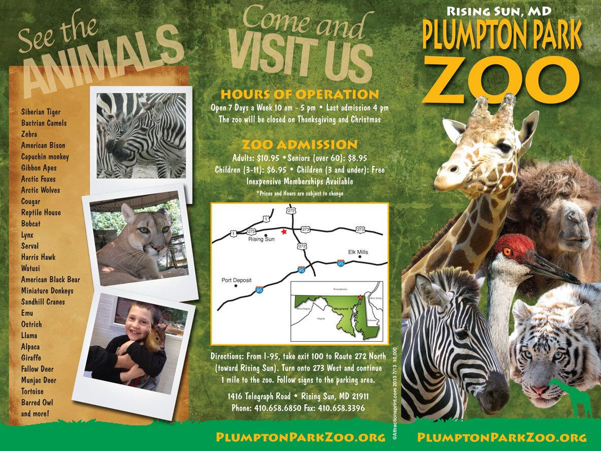 Zoo Brochure - Google Search | Zoo Tickets, Brochure Inside Zoo Brochure Template